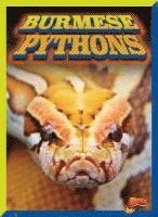 Barbara Ciletti - Burmese Pythons, Inbunden