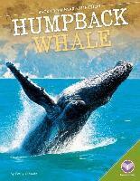 Emily O'Keefe - Humpback Whale, Inbunden. Tillgänglighet: Lägg i varukorg