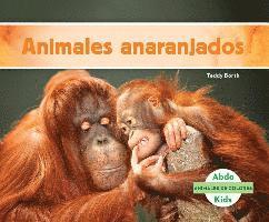 Teddy Borth - Animales Anaranjados (Orange Animals), Inbunden