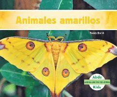 Teddy Borth - Animales Amarillos (Yellow Animals), Inbunden