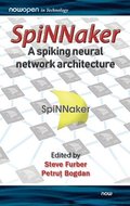 SpiNNaker - A Spiking Neural Network Architecture