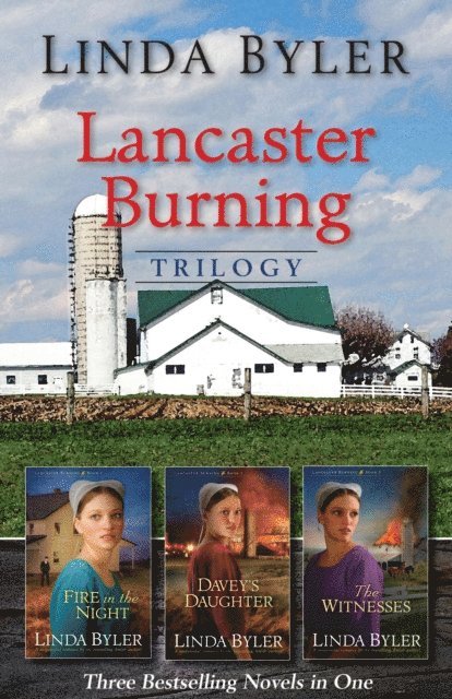 Linda Byler - Lancaster Burning Trilogy, E-bok