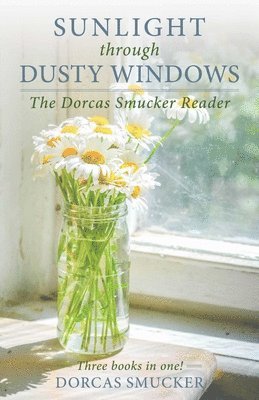 Dorcas Smucker - Sunlight through Dusty Windows, Häftad