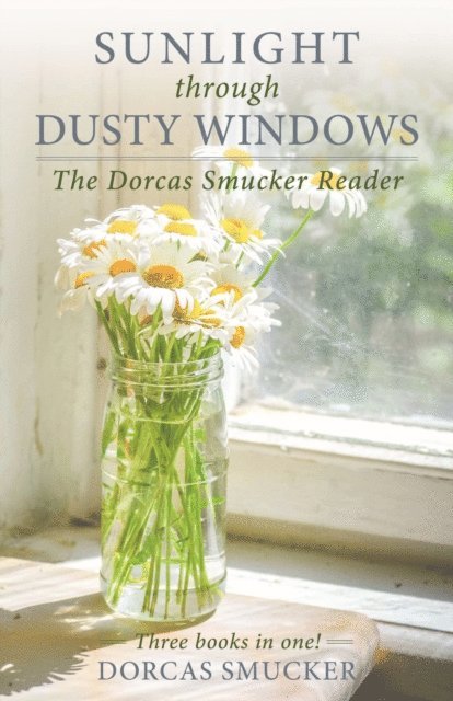 Dorcas Smucker - Sunlight Through Dusty Windows, E-bok