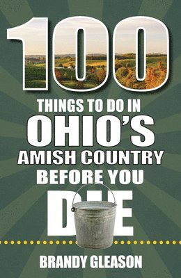 Brandy Gleason - 100 Things to Do in Ohio's Amish Country Before You Die, Häftad
