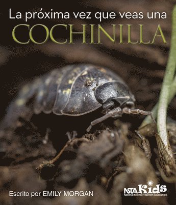 Emily Morgan - La Próxima Vez Que Veas una Cochinilla, Häftad. Tillgänglighet: Tillfälligt slut