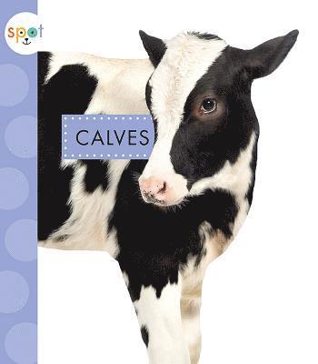 Anastasia Suen - Calves, Inbunden