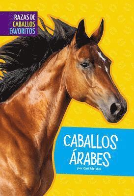 Cari Meister - Caballos Árabes, Inbunden