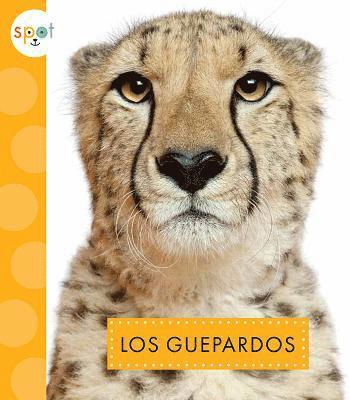 Mary Ellen Klukow - Los Guepardos, Inbunden