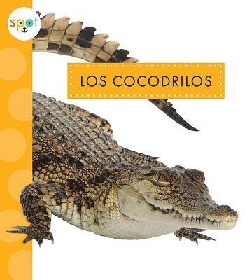 Mary Ellen Klukow - Los Cocodrilos, Inbunden