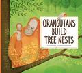 Orangutans Build Tree Nests