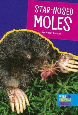 Wendy Perkins - Star-Nosed Moles, Häftad