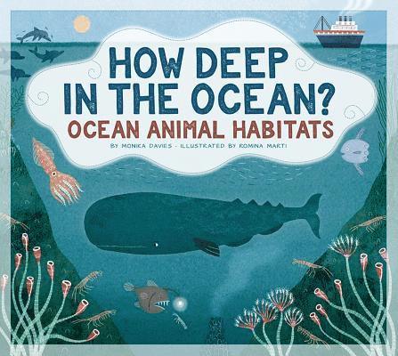 Monika Davies - How Deep in the Ocean?: Ocean Animal Habitats, Häftad