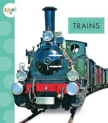 Wendy Strobel Dieker - Trains, Häftad
