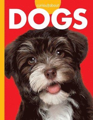 M. K. Osborne - Curious about Dogs, Häftad