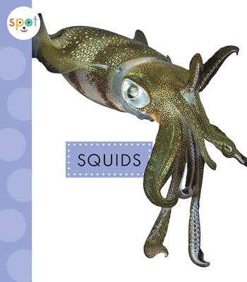 Mari C. Schuh - Squids, Häftad