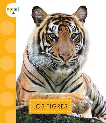Alissa Thielges - Los Tigres, Häftad