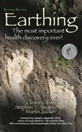 Earthing (2nd Edition)