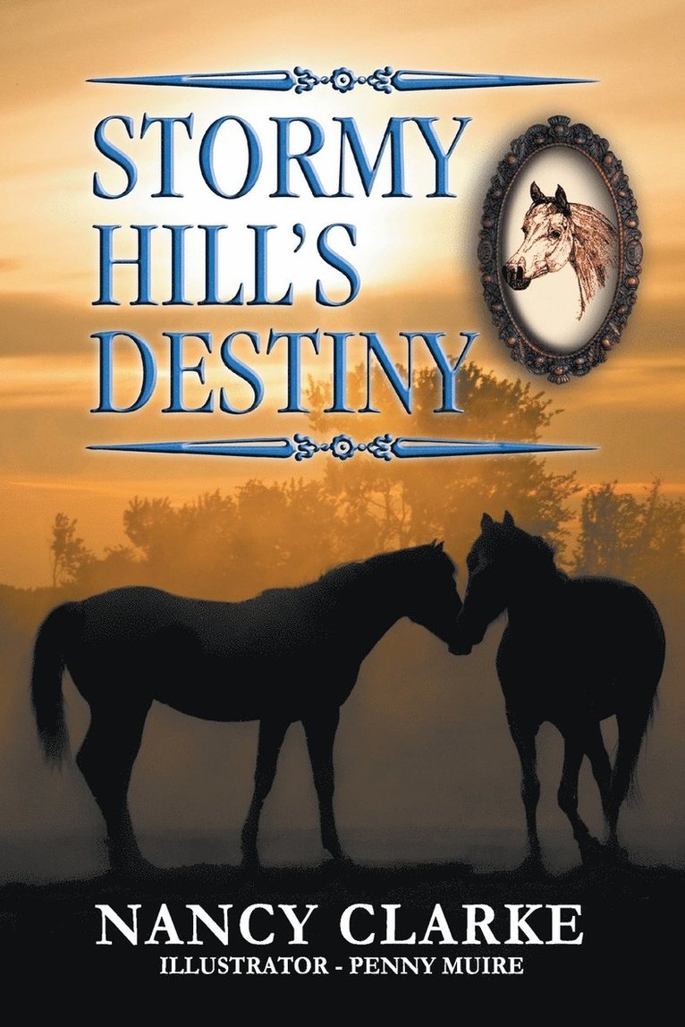 Stormy Hill's Destiny