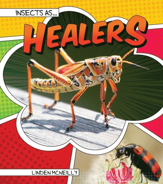 Linden McNeilly - Insects as Healers, E-bok