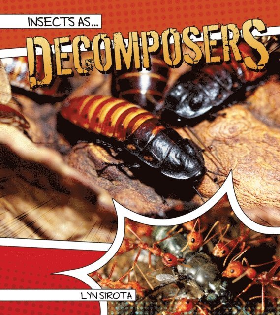 Lyn Sirota - Insects as Decomposers, E-bok. Tillgänglighet: Lägg i varukorg