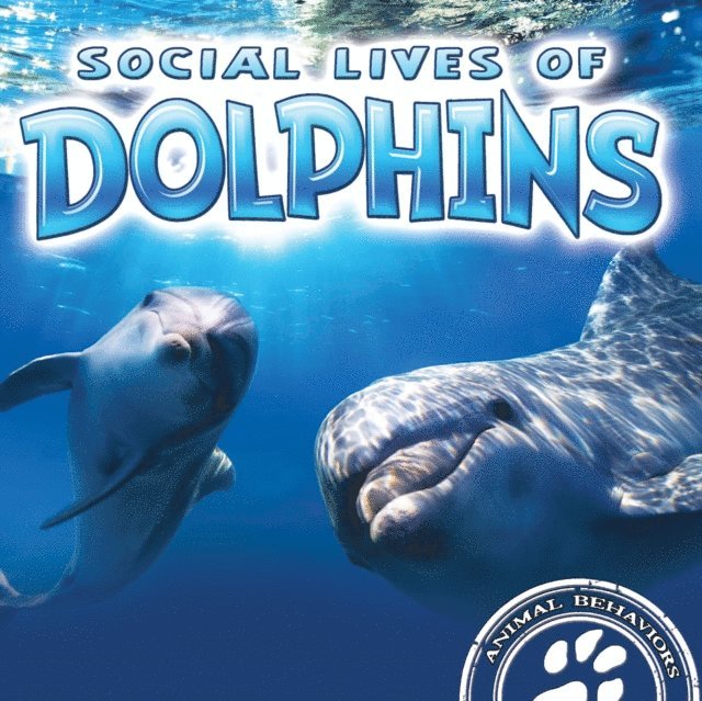 Sue Laneve - Social Lives of Dolphins, E-bok