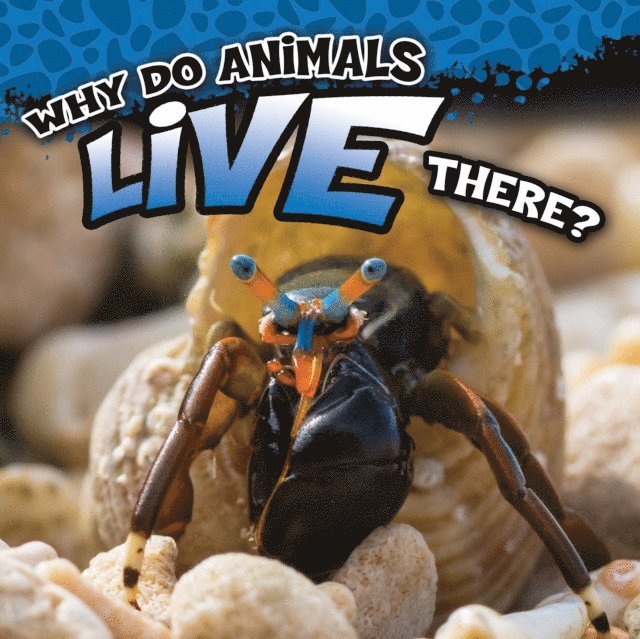 Jonathan Rosen - Why Do Animals Live There?, E-bok