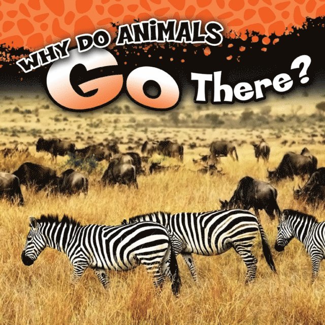 Jonathan Rosen - Why Do Animals Go There?, E-bok