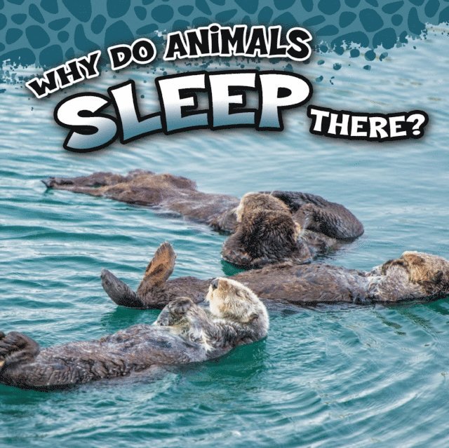 Sam George - Why Do Animals Sleep There?, E-bok