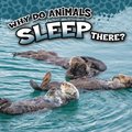 Why Do Animals Sleep There?