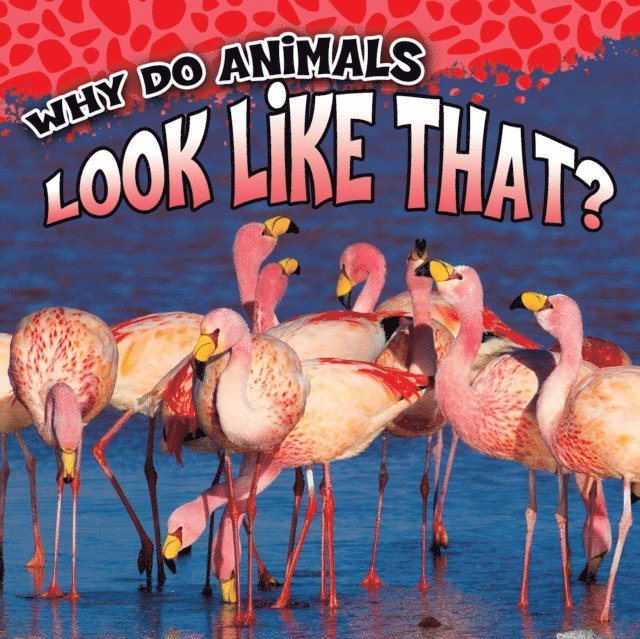 Sam George - Why Do Animals Look Like That?, E-bok