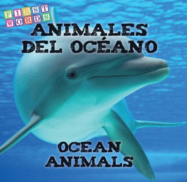 Animales del oceano