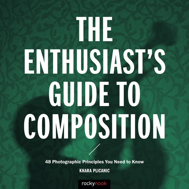 Khara Plicanic - Enthusiast's Guide to Composition, E-bok