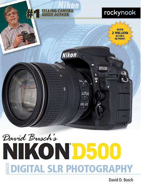 David D. Busch - David Busch's Nikon D500 Guide to Digital SLR Photography, E-bok