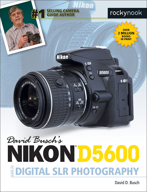 David D. Busch - David Busch's Nikon D5600 Guide to Digital SLR Photography, E-bok