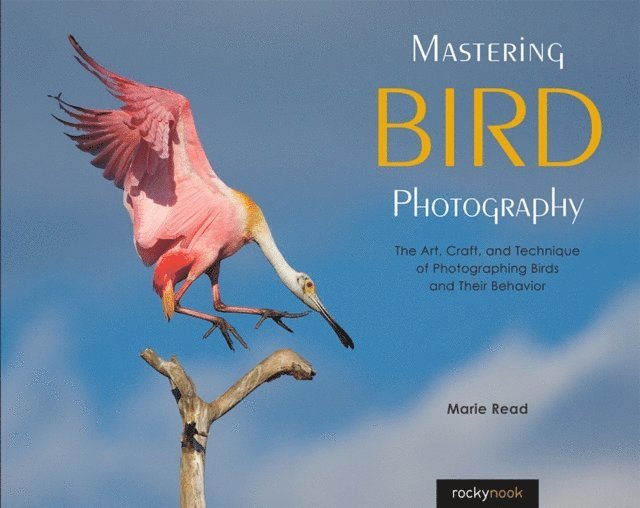 Marie Read - Mastering Bird Photography, E-bok