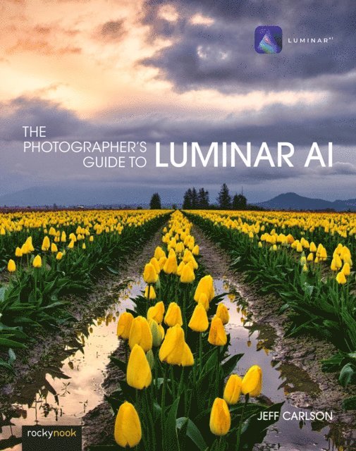Jeff Carlson - Photographer's Guide to Luminar AI, E-bok