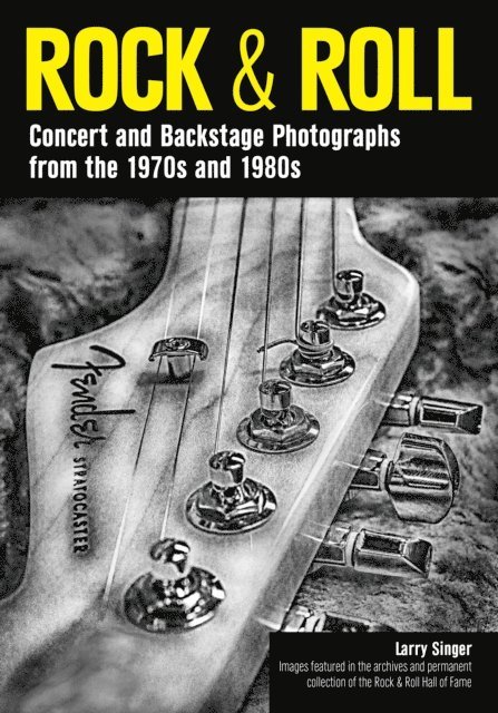 Larry Singer - Rock & Roll, E-bok