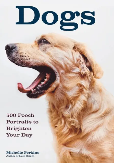Michelle Perkins - Dogs, E-bok. Tillgänglighet: Lägg i varukorg