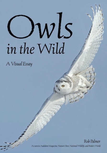 Rob Palmer - Owls In The Wild, E-bok