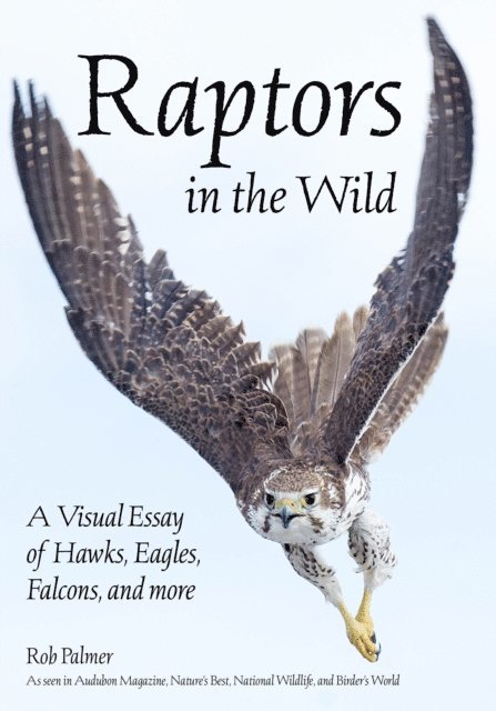 Rob Palmer - Raptors in the Wild, E-bok