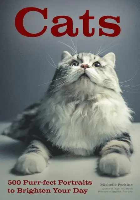 Michelle Perkins - Cats, E-bok. Tillgänglighet: Lägg i varukorg