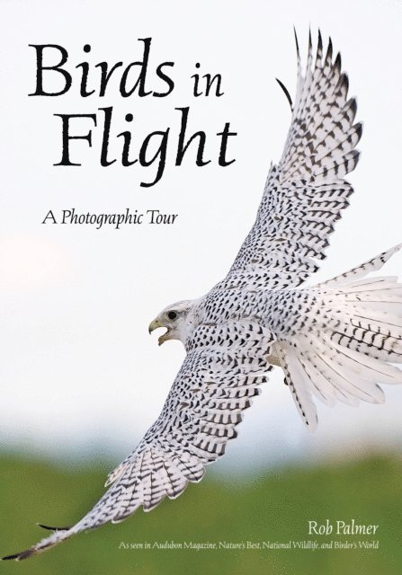 Rob Palmer - Birds in Flight, E-bok