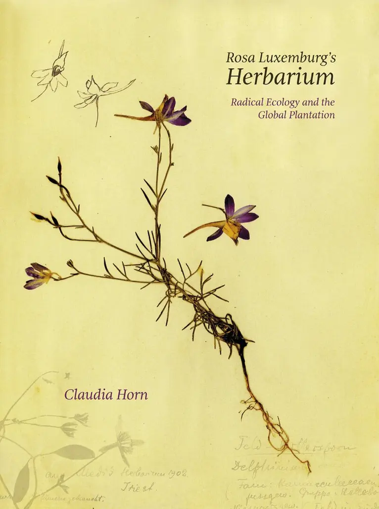 Claudia Horn - Rosa Luxemburg's Herbarium, Häftad. Tillgänglighet: Kommande