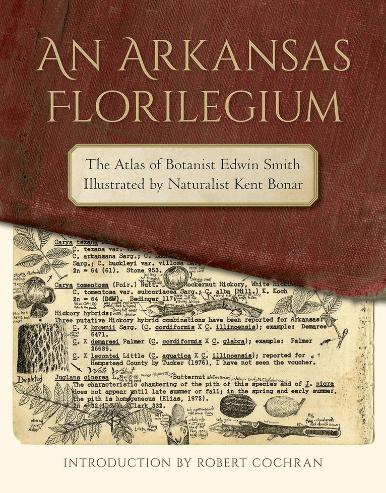 Edwin Smith, Kent Bonar - Arkansas Florilegium, Inbunden. Tillgänglighet: Tillfälligt slut