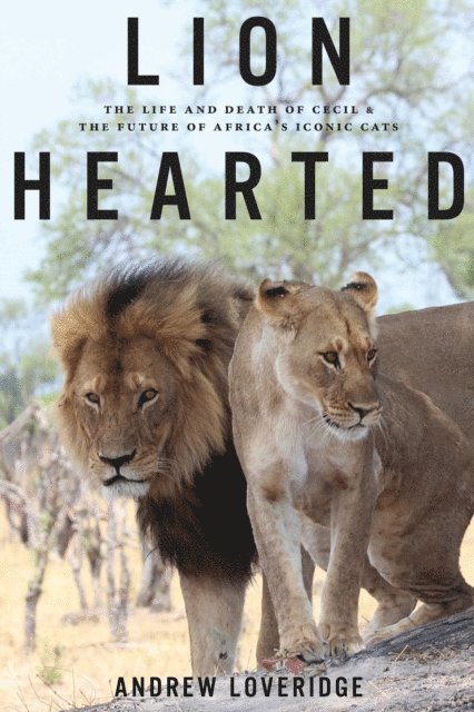 Andrew Loveridge - Lion Hearted, E-bok