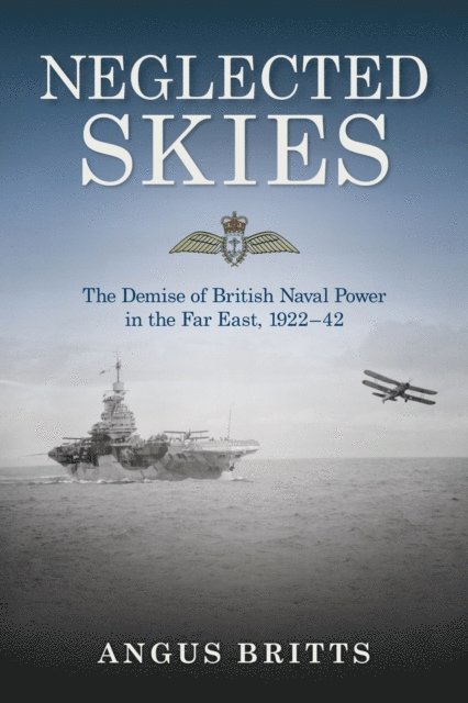 Angus Britts - Neglected Skies, E-bok
