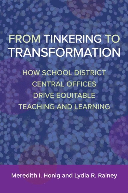 Meredith I Honig, Lydia R. Rainey - From Tinkering to Transformation, E-bok