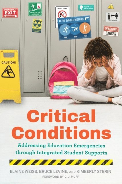 Kimberly Sterin, Bruce Levine, Elaine Weiss - Critical Conditions, E-bok