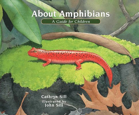 Cathryn Sill - About Amphibians, Inbunden